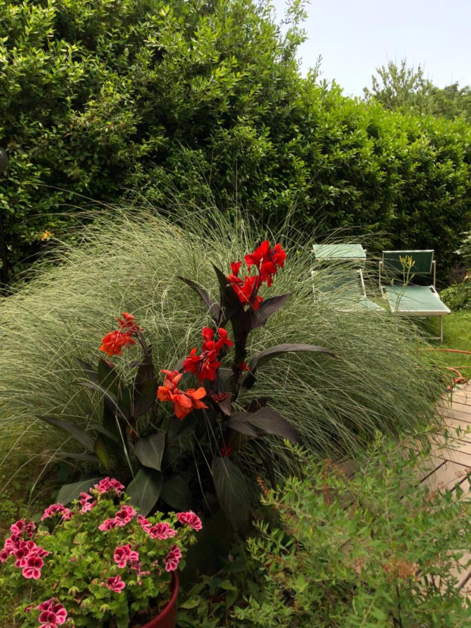 Casa L\u00F2 Bed and Breakfast Cesena Exterior foto